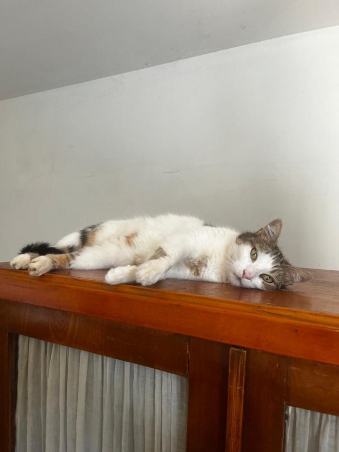 Le Mazet De Choubouloute Bed and Breakfast Saint-Gilles  Exteriör bild