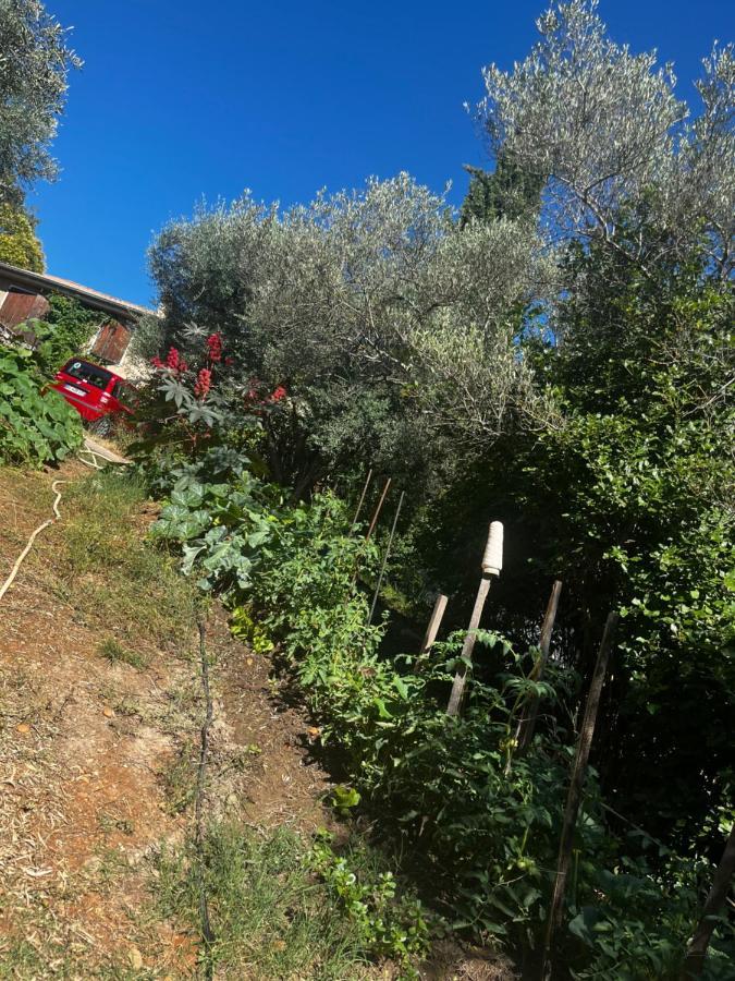Le Mazet De Choubouloute Bed and Breakfast Saint-Gilles  Exteriör bild