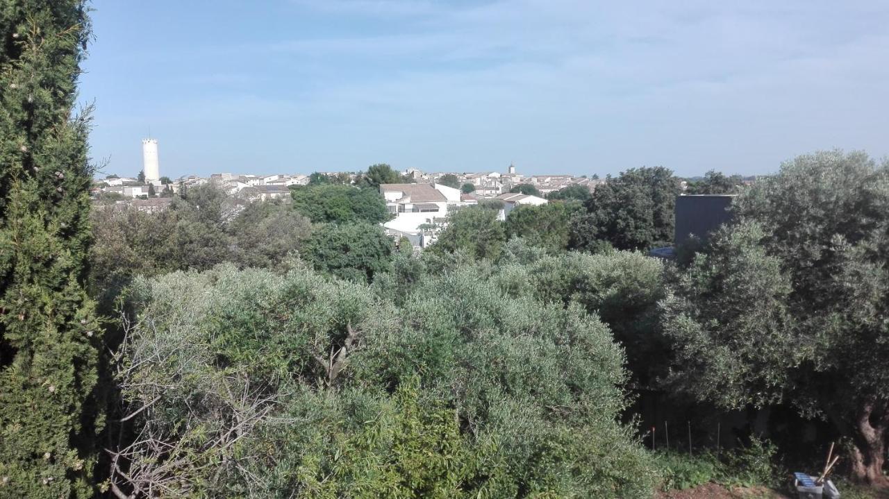 Le Mazet De Choubouloute Bed and Breakfast Saint-Gilles  Exteriör bild